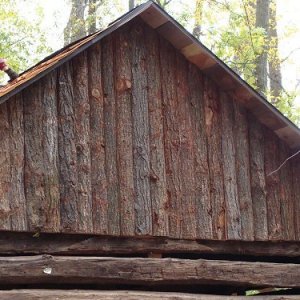 Cabin Construction