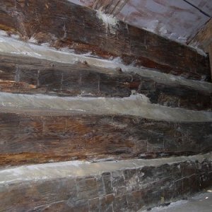 The Cabin at the Cayuga Museum in Auburn