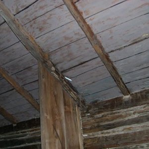 The Cabin at the Cayuga Museum in Auburn